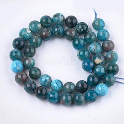 Natural Apatite Beads Strands&nbsp;G-S333-10mm-031