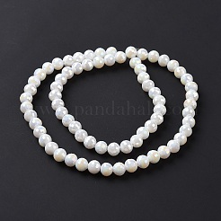 Electroplate Glass Beads Strands&nbsp;GLAA-E036-13E