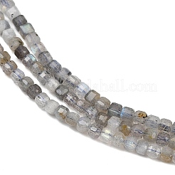 Natural Labradorite Beads Strands&nbsp;G-RM2025-C34-B