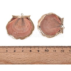 Electroplated Golden Brass Trim Natural Sea Shell Pendants&nbsp;SSHEL-N042-33