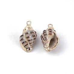 Electroplate Spiral Shell Pendants&nbsp;SSHEL-S261-09