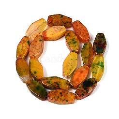 Natural Multi-Color Agate Beads Strands&nbsp;G-Q606-73