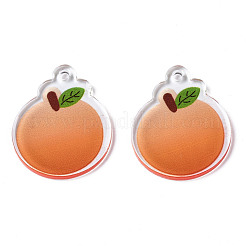 Translucent Acrylic Pendants&nbsp;TACR-N013-011