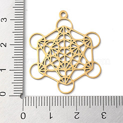 201 Stainless Steel Pendants&nbsp;STAS-D041-06G