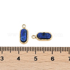 Natural Lapis Lazuli Rectangle Charms&nbsp;STAS-I325-141A-G