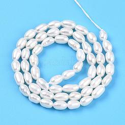 Natural Cultured Freshwater Pearl Beads Strands&nbsp;PEAR-N012-04M-01