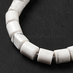 Natural Howlite Beads Strands&nbsp;G-I341-04