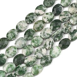 Natural Green Spot Jasper Beads Strands&nbsp;G-H349-A01-20
