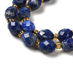 Natural Lapis Lazuli Beads Strands&nbsp;G-H297-C02-01