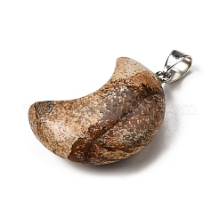 Natural Picture Jasper Pendants&nbsp;G-F820-02F