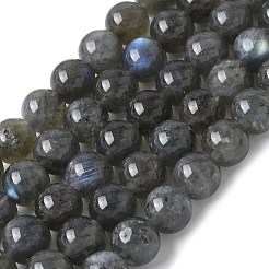 Natural Labradorite Beads Strands&nbsp;X-G-U017-8MM-01