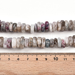 Natural Plum Blossom Tourmaline Beads Strands&nbsp;G-T141-29