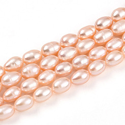 Natural Cultured Freshwater Pearl Beads Strands&nbsp;PEAR-N012-AA-02
