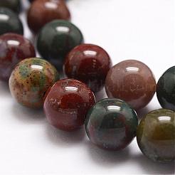 Natural Indian Bloodstone Beads Strands&nbsp;G-G954-02-10mm
