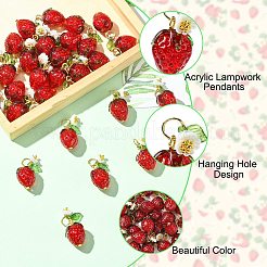 30Pcs Acrylic Lampwork Pendants&nbsp;PALLOY-CJ00160