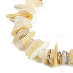 Natural Trochus Shell Beads Strands&nbsp;BSHE-H109-08
