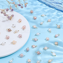 60Pcs 2 Colors Natural Cultured Freshwater Pearl Two Sides Polished Charms&nbsp;PEAR-ME0001-03