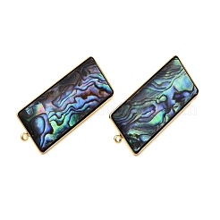 304 Stainless Steel Pave Natural Paua Shell Stud Earring Findings&nbsp;STAS-Z125-04G