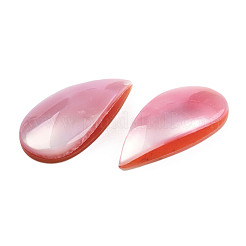 Natural Turbo Cornulus/Top Shells Cabochons&nbsp;SSHEL-N003-156B