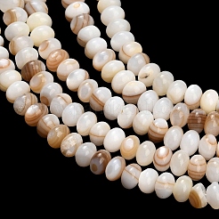Natural Freshwater Shell Beads Strands&nbsp;SHEL-C010-04B-01
