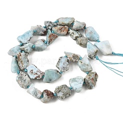 Raw Rough Natural Larimar Beads Strands&nbsp;G-D101-A06-01