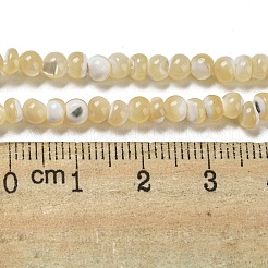 Natural Trochus Shell Beads Strands&nbsp;SSHEL-H072-13A