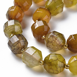 Natural Agate Beads Strands&nbsp;G-T131-118H