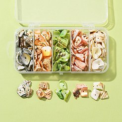 125G 5 Colors Natural Shell Bead Strands&nbsp;BSHE-FS0001-06B