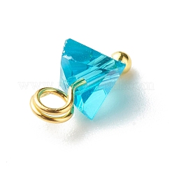 Electroplate Glass Charms&nbsp;PALLOY-JF00821-03