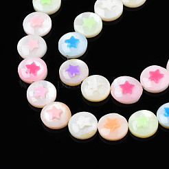 Natural Freshwater Shell Enamel Beads&nbsp;SHEL-N026-193