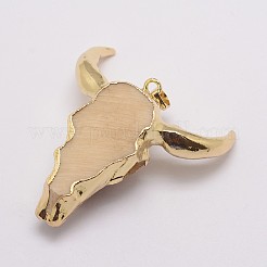 Resin Big Pendants&nbsp;KK-G292-17G