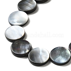 Natural Black Lip Shell Beads Strands&nbsp;BSHE-D300-05-14mm