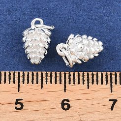 925 Sterling Silver Charms&nbsp;STER-I024-01S