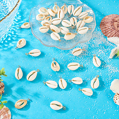 60Pcs 2 Colors Natural Cowrie Shell Pendants&nbsp;PALLOY-TA00305
