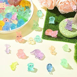 30Pcs 6 Styles Luminous Resin Display Decorations&nbsp;DJEW-YW0001-09A