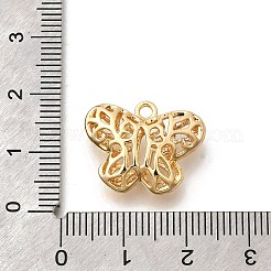 Brass Pendants&nbsp;KK-E792-27G