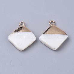Electroplate Freshwater Shell Pendants&nbsp;LS-X1-SHEL-S276-64