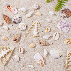 Mixed Shell Beads&nbsp;BSHE-PH0003-20