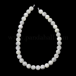 Natural Trochid Shell/Trochus Shell Beads Strands&nbsp;SH-CBA2978-16A