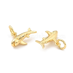 Brass Charms&nbsp;KK-G416-19G