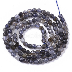 Natural Iolite/Cordierite/Dichroite Beads Strands&nbsp;G-R460-021