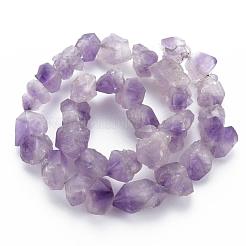 Raw Rough Natural Amethyst Beads Strands&nbsp;G-N0326-028