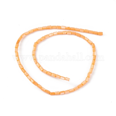 Natural Freshwater Shell Dyed Beads Strands&nbsp;SHEL-M018-12-07-1