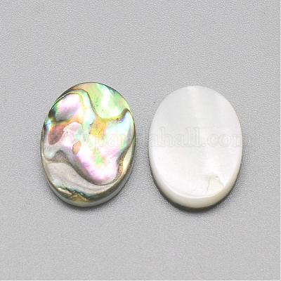 Paua Shell Cabochons&nbsp;SSHEL-R042-20-1