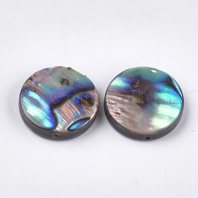 Abalone Shell/Paua Shell Beads&nbsp;SSHEL-T008-06B-1