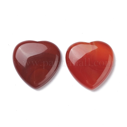 Natural Red Agate Cabochons G-P021-16-1