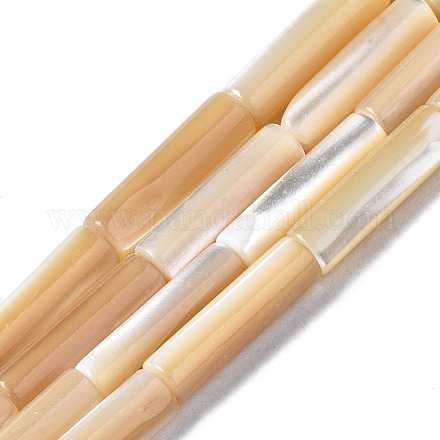 Natural Trochid Shell/Trochus Shell Beads Strands SSHEL-S266-020B-03-1