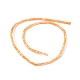 Natural Freshwater Shell Dyed Beads Strands&nbsp;SHEL-M018-12-07-2