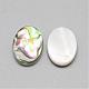 Paua Shell Cabochons&nbsp;SSHEL-R042-20-2