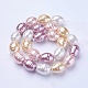Shell Pearl Beads Strands&nbsp;BSHE-P030-03-2